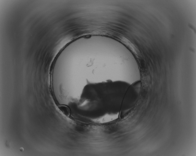 X0000091881095200709191151