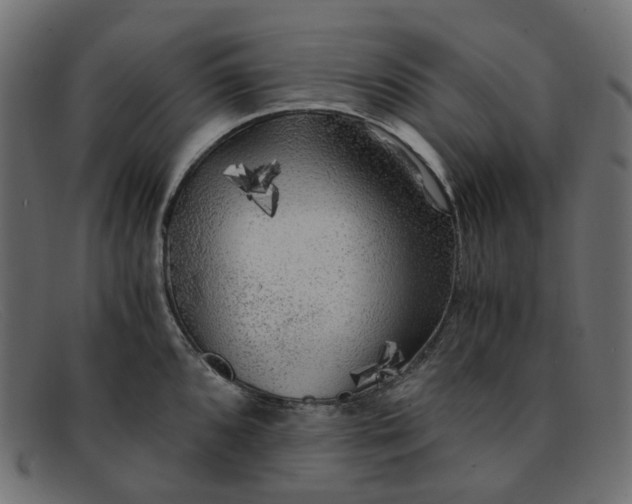 X0000091881096200709191151