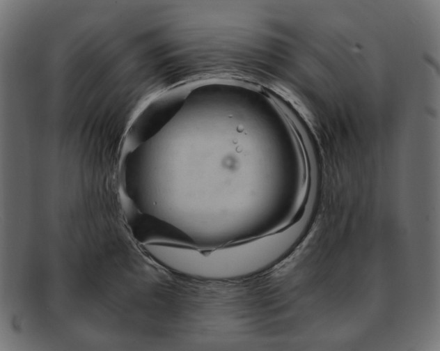 X0000091881097200709191151