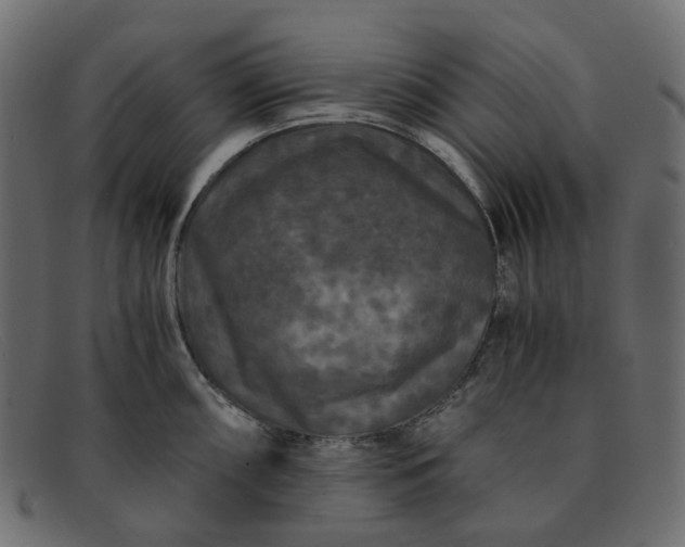 X0000091881098200709191151