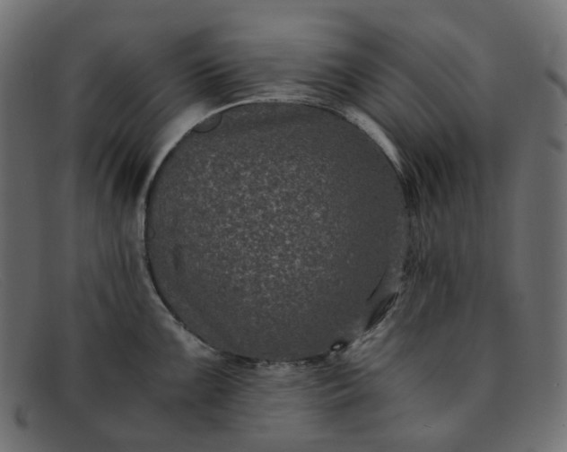 X0000091881099200709191151