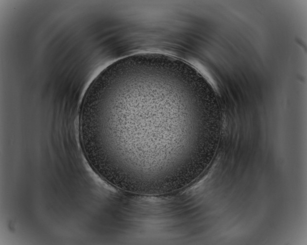 X0000091881100200709191151