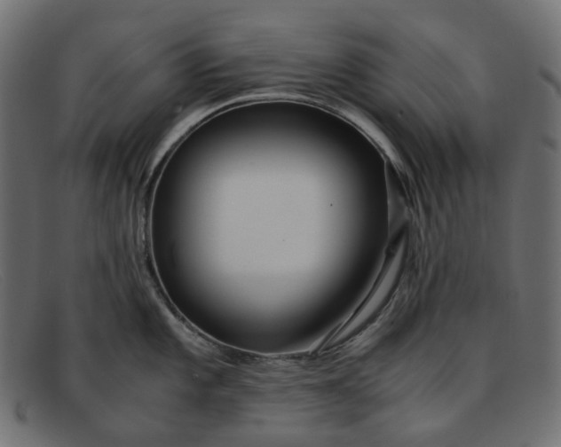 X0000091881101200709191151