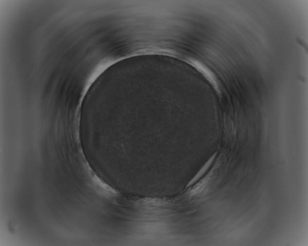 X0000091881102200709191151