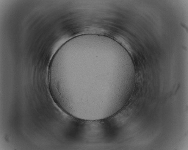 X0000091881103200709191151