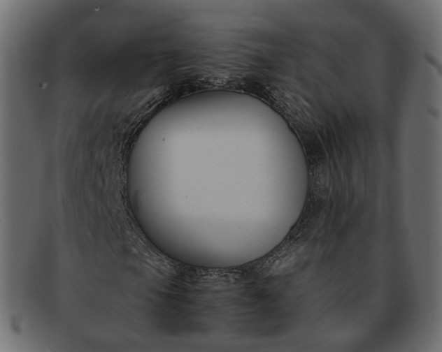 X0000091881105200709191150