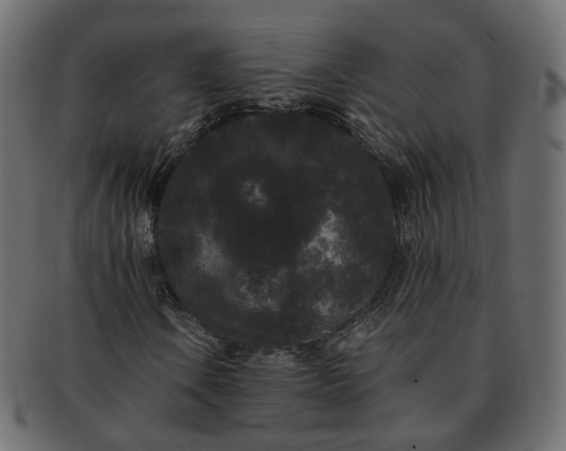 X0000091881106200709191150