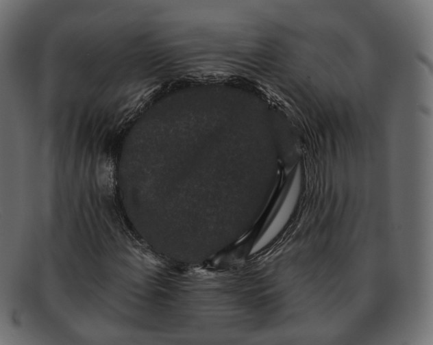 X0000091881108200709191150