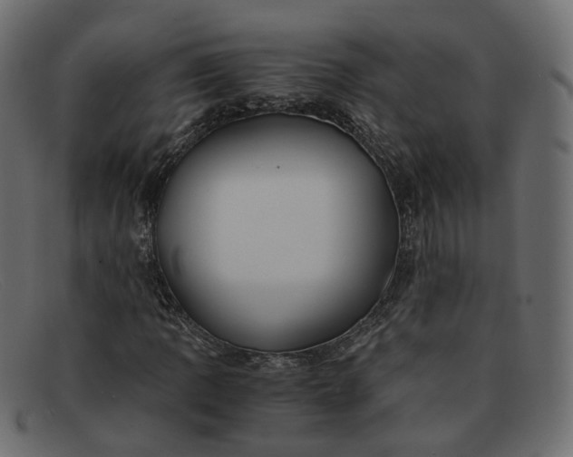 X0000091881109200709191150