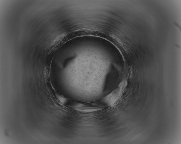 X0000091881110200709191150