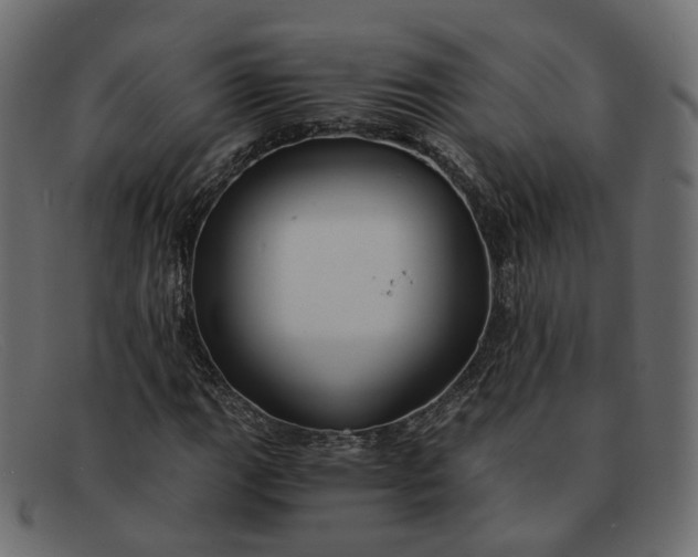 X0000091881111200709191150