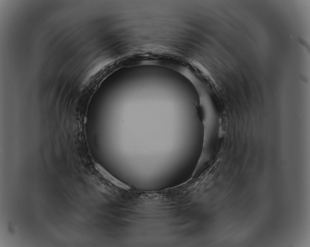 X0000091881112200709191150