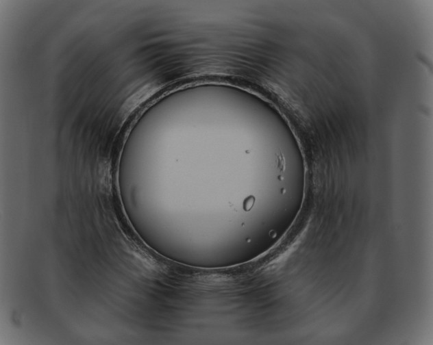 X0000091881113200709191150