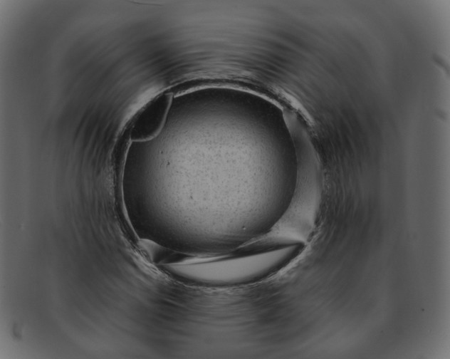 X0000091881114200709191150