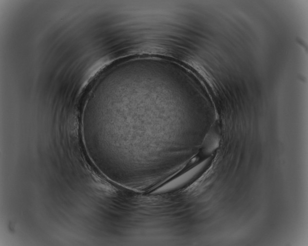 X0000091881115200709191150