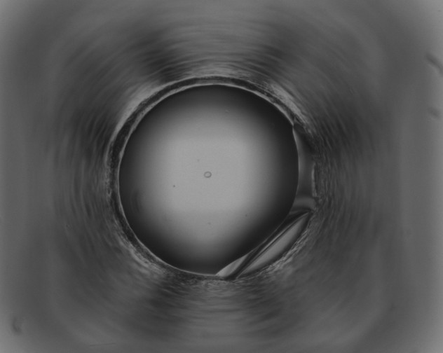 X0000091881116200709191150