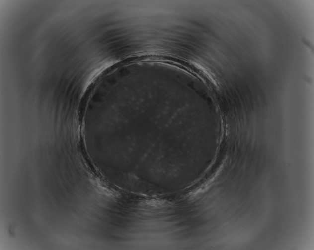 X0000091881117200709191150