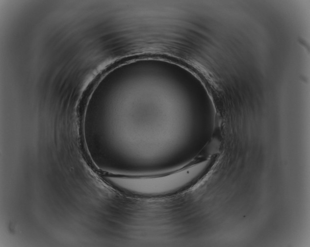 X0000091881118200709191150