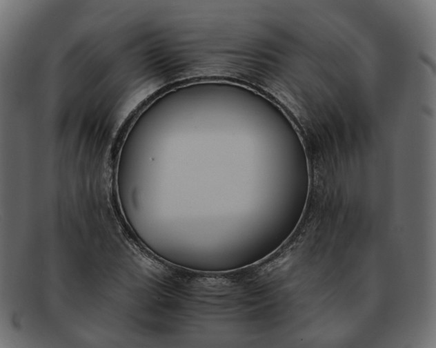 X0000091881119200709191150