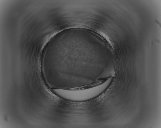 X0000091881120200709191151