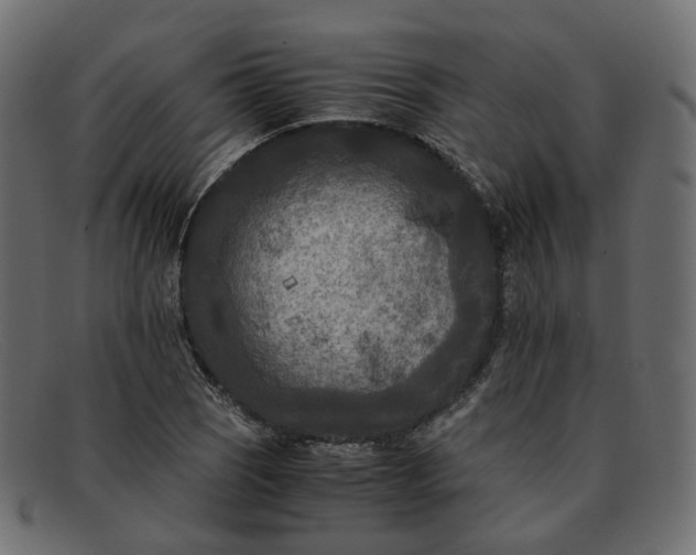 X0000091881121200709191151