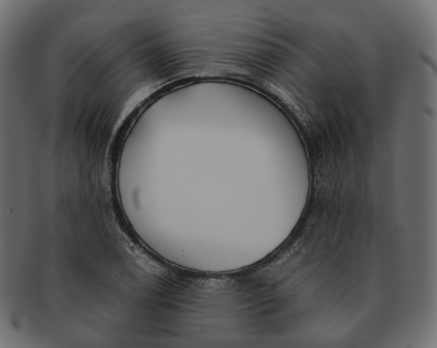 X0000091881122200709191151