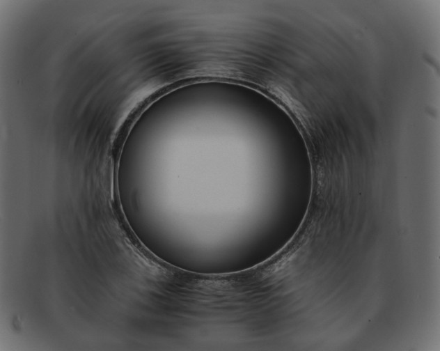 X0000091881123200709191151