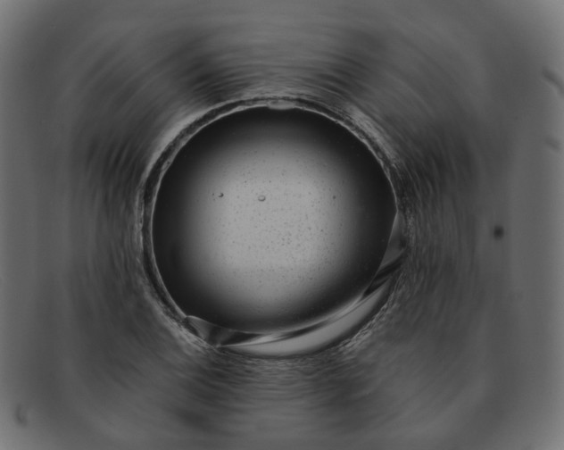 X0000091881124200709191151