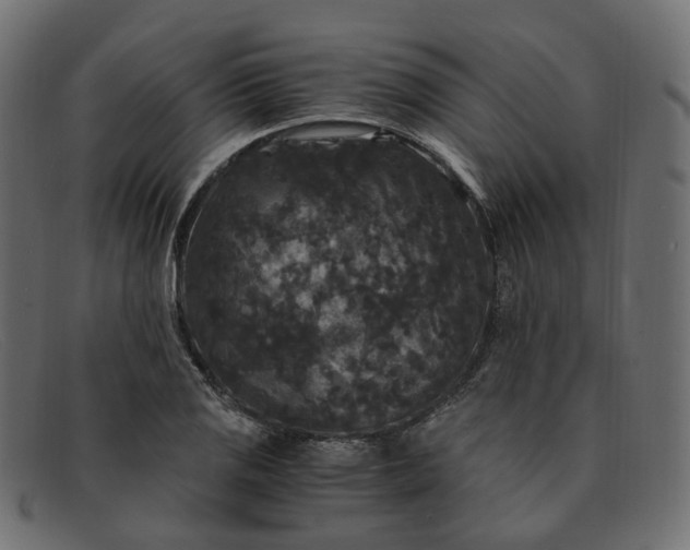 X0000091881125200709191151