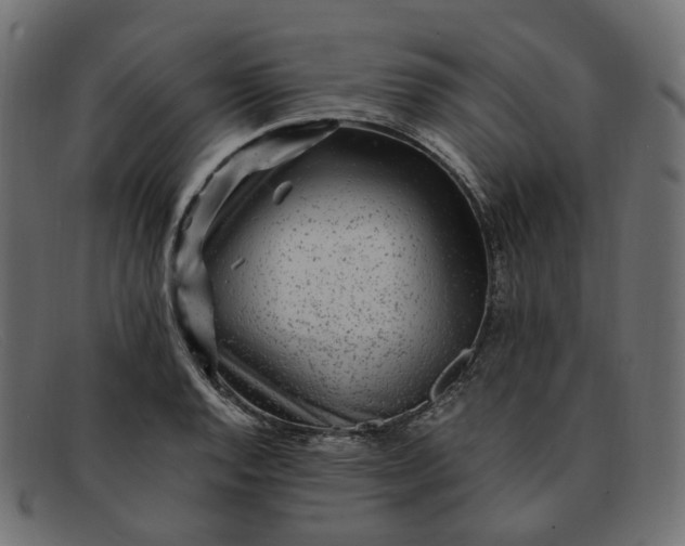 X0000091881128200709191151