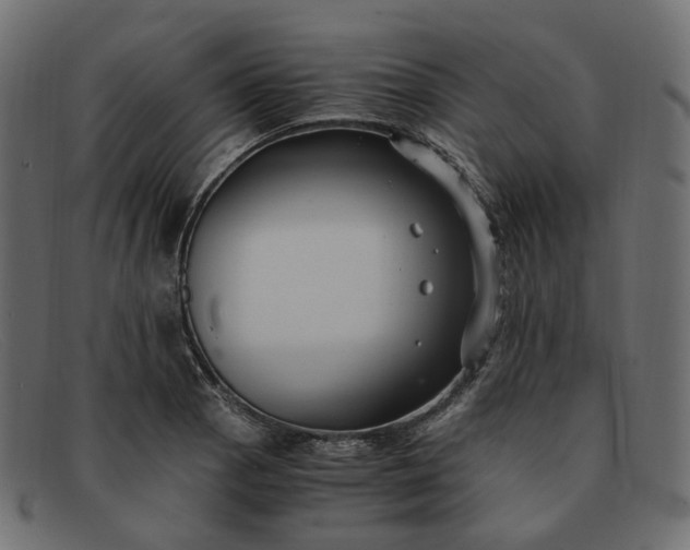 X0000091881129200709191151