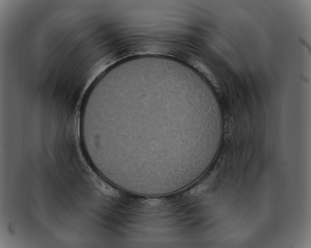 X0000091881130200709191151