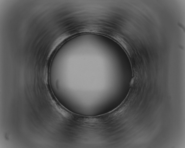 X0000091881131200709191151