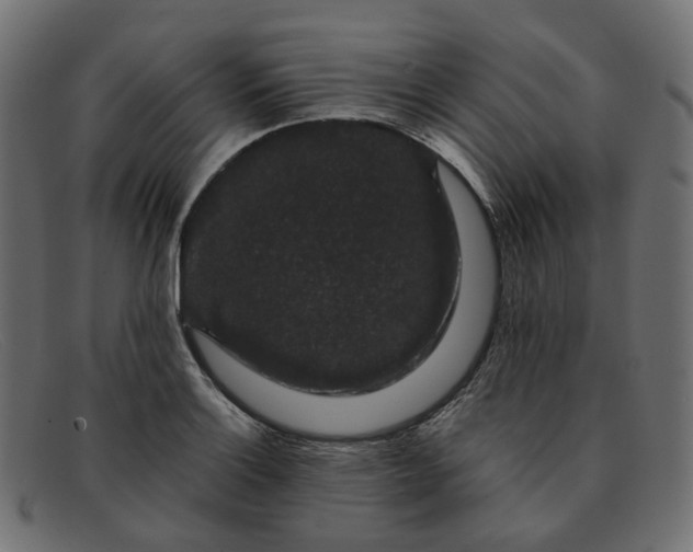 X0000091881132200709191151