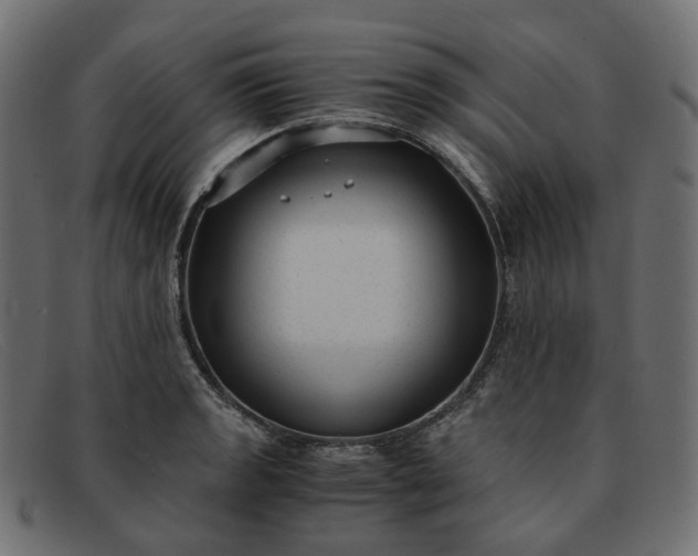 X0000091881133200709191151