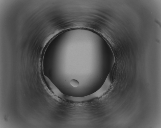 X0000091881134200709191151