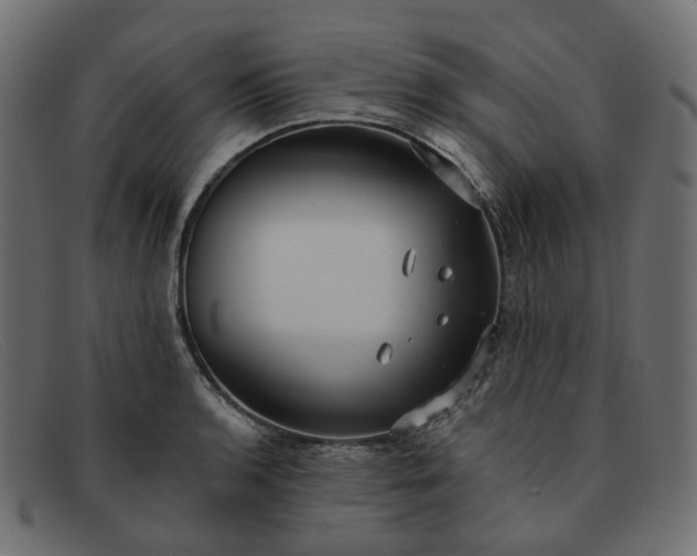 X0000091881136200709191151