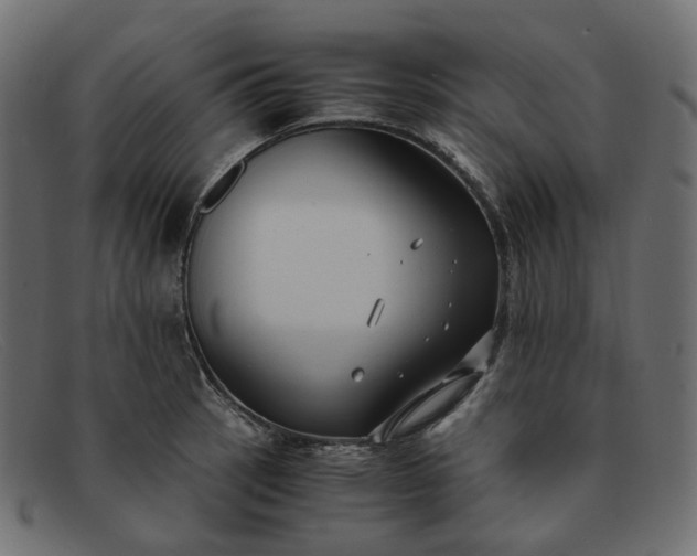 X0000091881137200709191151