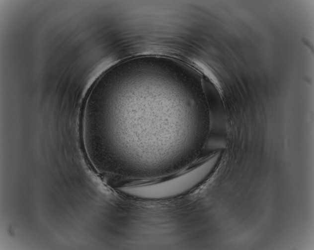 X0000091881138200709191151