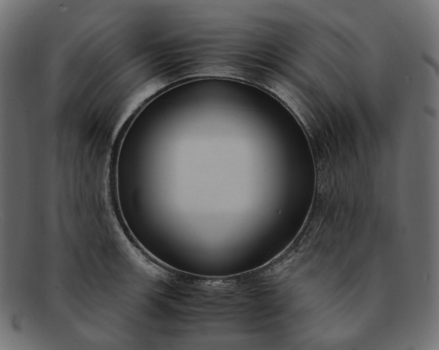 X0000091881139200709191151