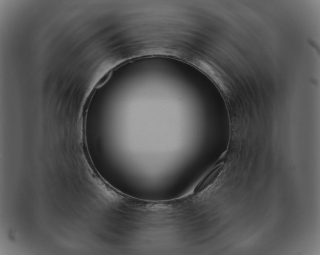 X0000091881140200709191151