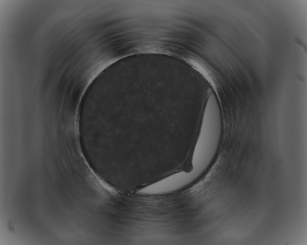 X0000091881141200709191151