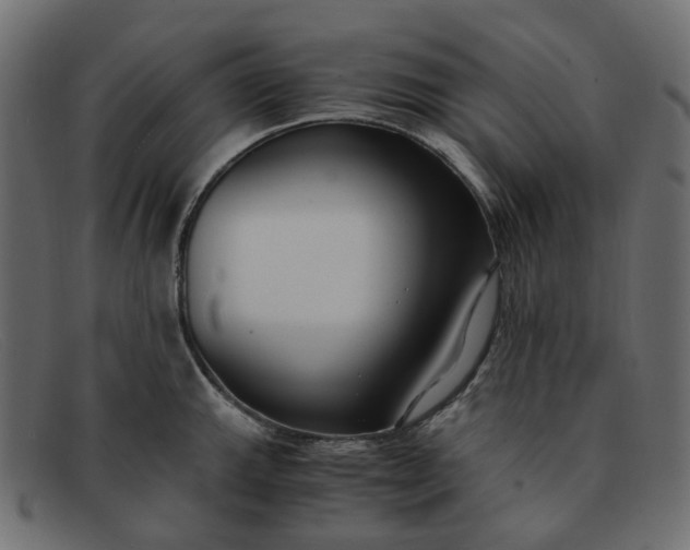 X0000091881143200709191151