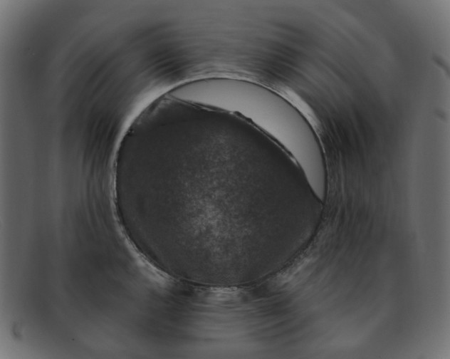 X0000091881144200709191151