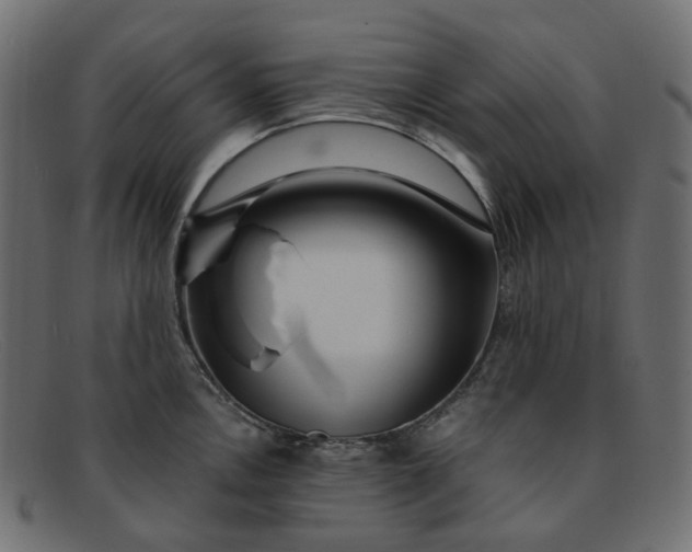 X0000091881146200709191151