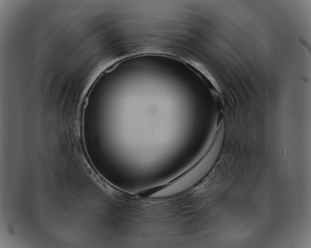 X0000091881148200709191151