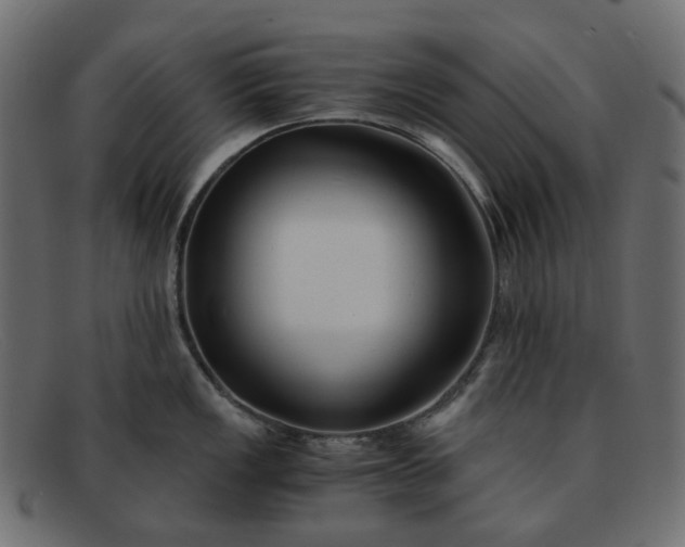 X0000091881149200709191151