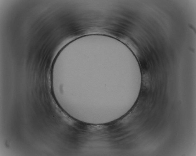 X0000091881150200709191151