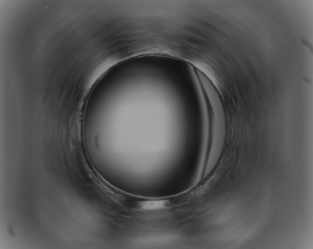 X0000091881151200709191151