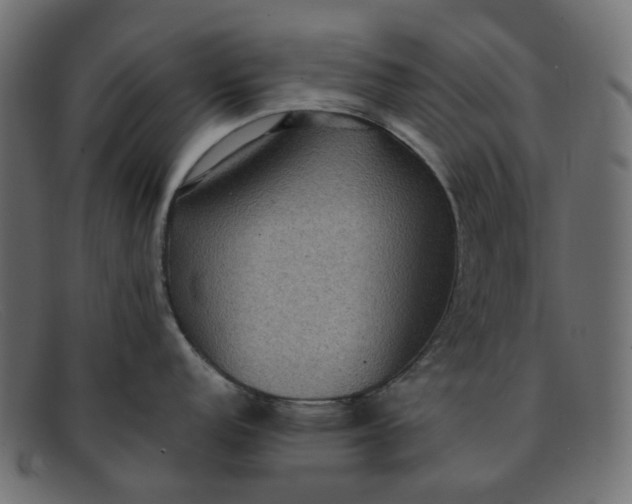 X0000091881152200709191151